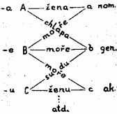 řetěz synonymie-homonymie